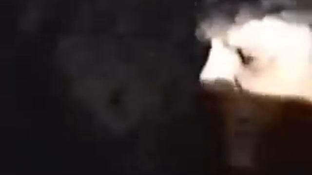 Все идет по плану! Ю.Хой.avi смотреть онлайн