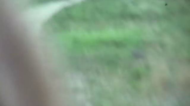 Offroad mit Honda MT 50