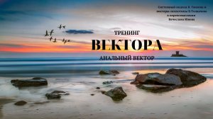 Занятие 3. Анальный вектор. Тренинг  Вектора. Проект Вячеслава Юнева