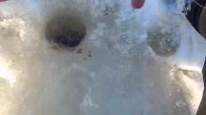 ЛОВЛЯ ПЛОТВЫ НА ТЕСТО ЗИМОЙ | ГУСТЕРА В ГЛУХОЗИМЬЕ ЛУПИТ НА ВСЕ | ЗИМНЯЯ РЫБАЛКА 2021-22 fishing