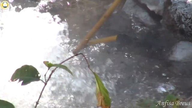 Как варят яйца в Pong Duet Geyser.Таиланд. смотреть онлайн