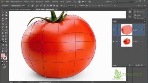 Сетчатый градиент ? Mesh Tool Как нарисовать помидор Томат Adobe Illustrator дизайнеру Урок 18