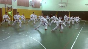 Тренировки по карате. Уроки карате Шотокан | Дзаншин