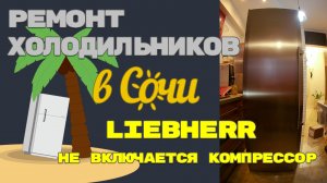 Холодильник Liebherr, не включается компрессор.
