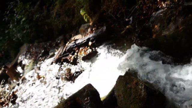 Водопад Кейва (видео 2)