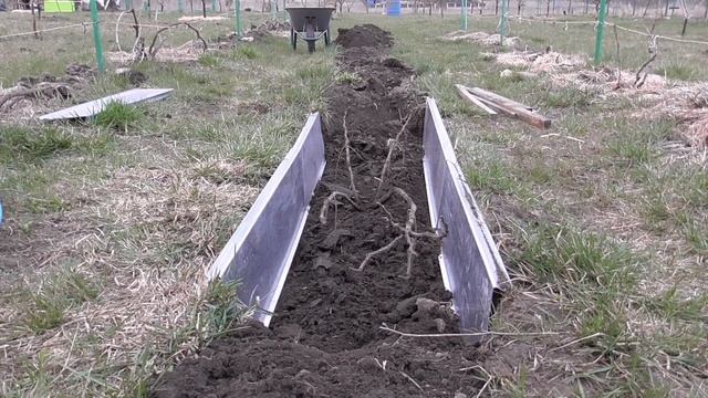 Відкриваємо інжир, траншея та теплиця на травень
