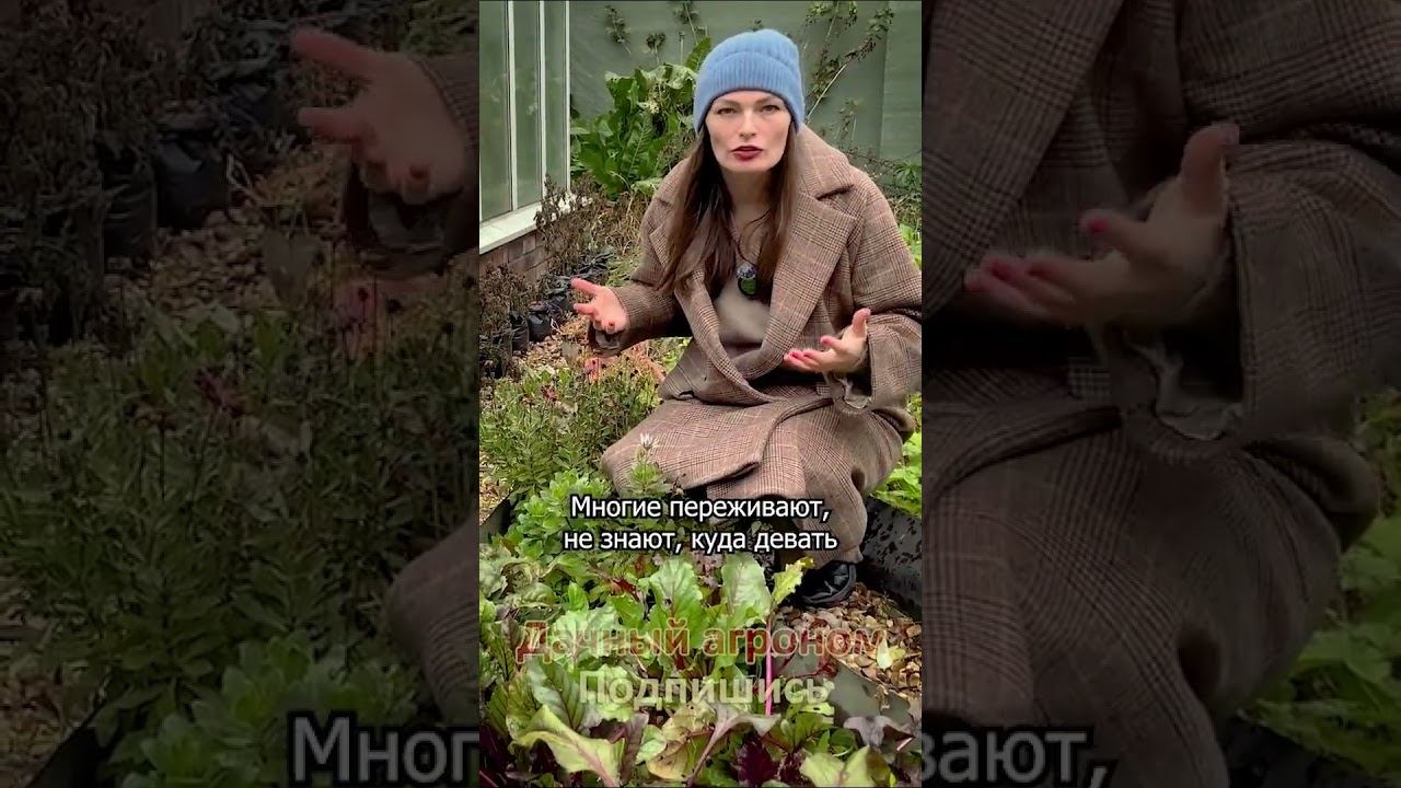 БЕСПЛАТНО Превращаем ЦВЕТЫ в удобрение Дачный агроном