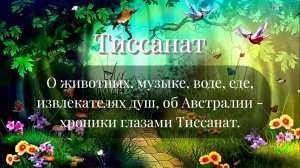 #151 О животных, музыке, воде, еде, об извлекателях душ и об Австралии - хроники глазами Тиссанат.