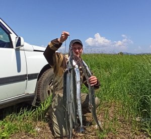 МОРСКАЯ РЫБАЛКА / БЮДЖЕТНАЯ СНАСТЬ НА САРГАНА /  САРГАН ГОРЯЧЕГО КОПЧЕНИЯ.