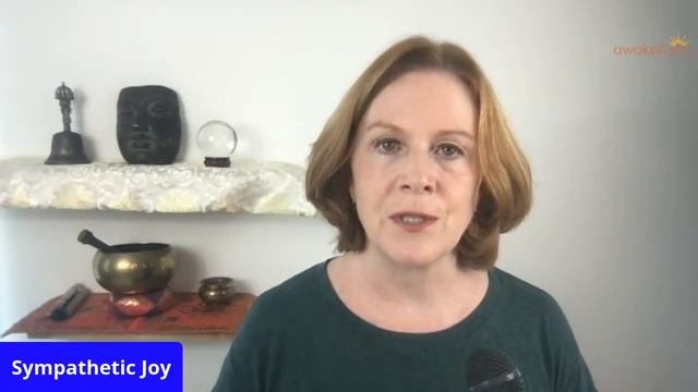 Sympathetic Joy смотреть онлайн