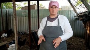 Почему мои куры НЕ НЕСУТ яйцо.