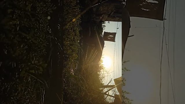 Отжимания (Майка Тайсона), 27 августа 2023 смотреть онлайн