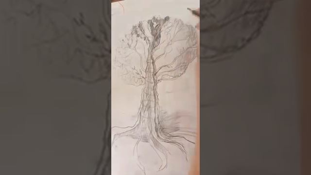 «Дерево»/ отделение живописи