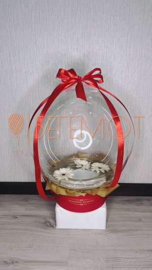 Воздушный шар "Bubble" с живыми цветами и водой (перезалив)