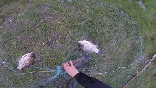 РЫБАЛКА НА КРУГЛЫЙ ПОДЪЕМНИК. Ловля РАЗНОЙ рыбы на рыболовный подъемник паук.