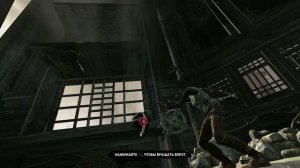 Прохождение Tomb Raider #8 /Выход был прямо под ними...