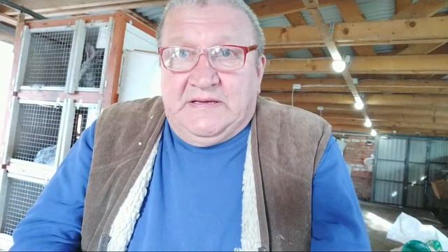 ?Проект крольчатника С чего начать ✍️Важные замечания смотреть онлайн