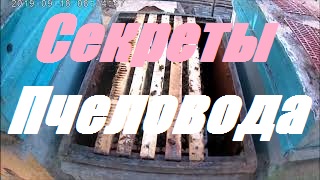 Пчеловодные секреты,приёмы,тонкости.Готовим пчел в зимовку.
