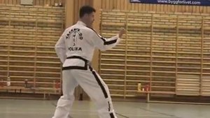 Чон Джи видео тхэквондо туль бело-желтый пояс, 9 гып, хьенг 19 движений, комплекс Chon Ji Tul спорт