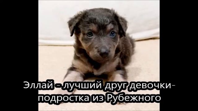 Счастливая история. Декабрь 2020 смотреть онлайн