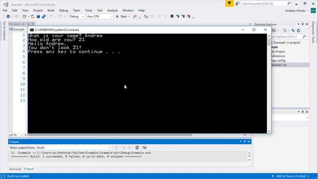 Visual Basic - Input and Output with a Console Application смотреть онлайн