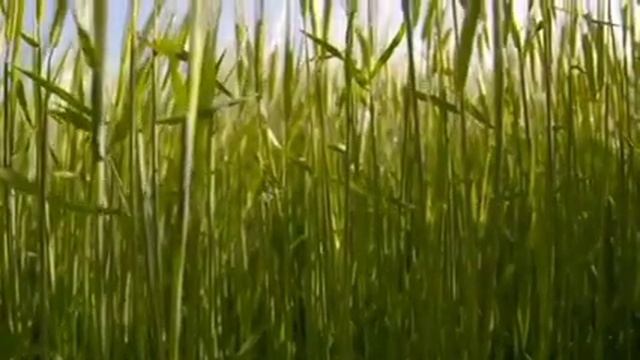 15 октября 2022 г. смотреть онлайн