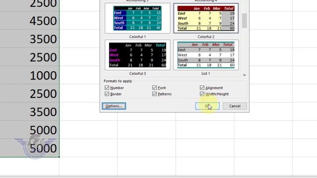 How to Apply Auto Format in MS Excel Fast and Easy ? || Data Formatting in Excel