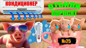 №25 ДЕЛА САРАЙНЫЕ!!!
УСТАНОВИЛ
КОНДИЦИОНЕР В
САРАЙ!!!СПАСАЕМ
ПОРОСЯТ ОТ ЖАРЫ!!!