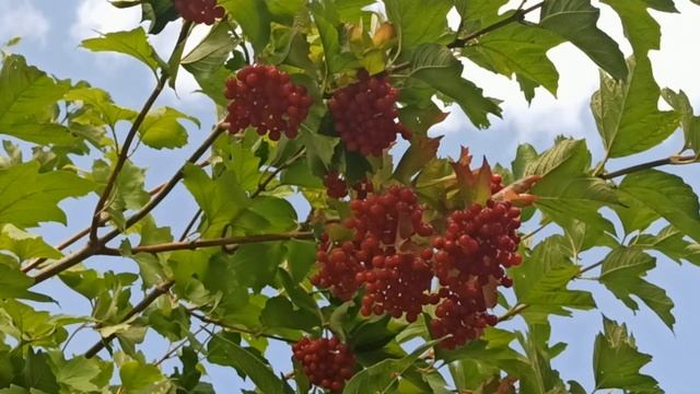 Самые опасные дни в сентябре 2022. Что делать нельзя... Неблагоприятные дни. смотреть онлайн