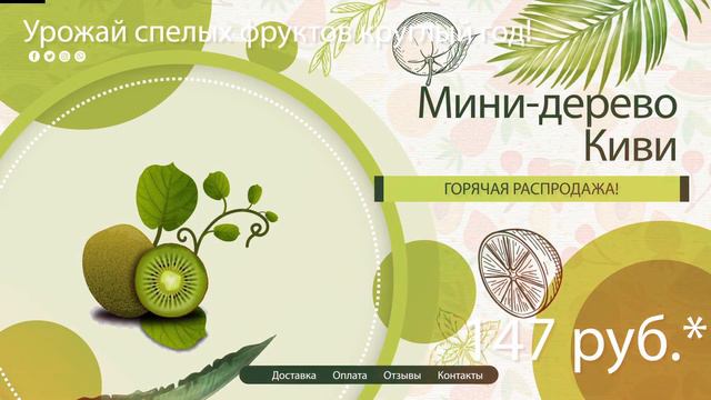 Где же купить лимонное дерево в горшке в самаре смотреть онлайн