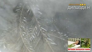 БУЙРАК ВА АЙОК ОГРИГАНДА УЙ ШАРОЙИТИДА ДАВОЛАШ 100% ФОЙДА БЕРАДИ