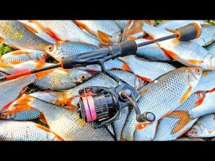 Эффективный Мормышинг В МАЕ НА ПЛОТВУ! Рыбалка 2022 на бюджетный XUL спиннинг