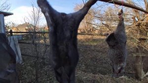 Разделка кролика в домашних условиях.