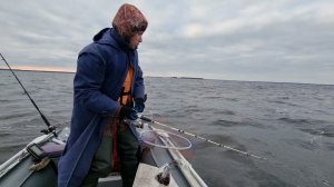 Вологодская область,Рыбинское водохранилище.В этом году все-таки я попал на рыбалку✌