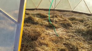 Купольная Теплица. Увлажнение второго слоя компостной грядки