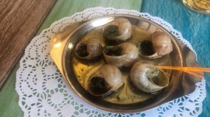 Прогулка по Калязину и посещение улиточной фермы