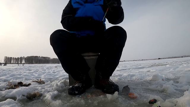 Ловля ротана смотреть онлайн