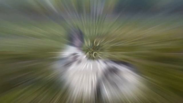 история Артамоново, 2020 год, Шипуновский район