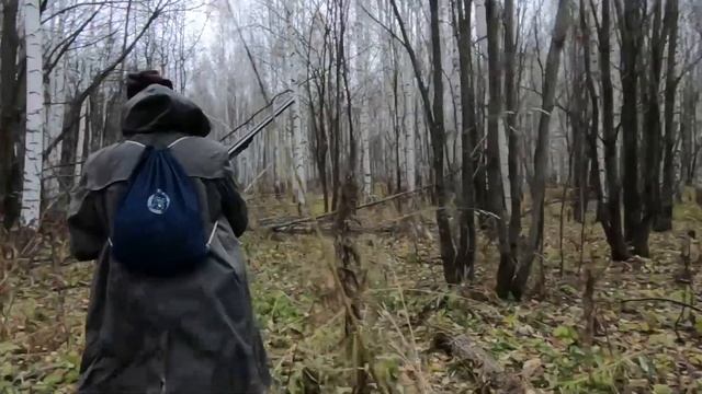 Открытие сезона охоты на зайца-беляка с русской гончей по чернотропу. смотреть онлайн