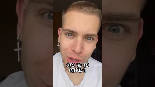 ХИЩНЫЕ ПТИЦЫ ?❌ Это тебе не синичка..