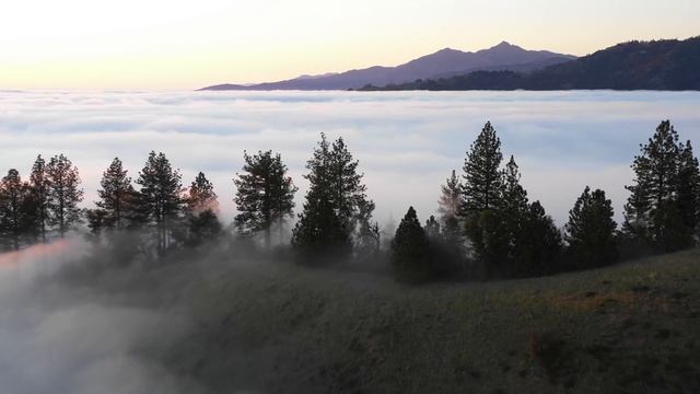 Глава 1. По Моему Образу. Дорогое Мое Дитя, Колин Урхарт. смотреть онлайн