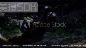 360°, Джунгли, Мадагаскар. 8К виртуальная реальность