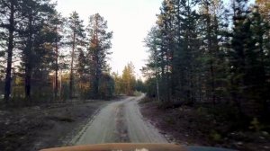 Лесная дорога от Пякупура до Пурпе