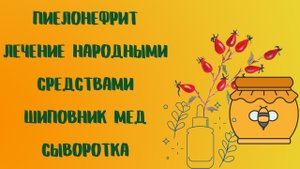 Пиелонефрит Лечение народными средствами Шиповник Мед Сыворотка.mp4