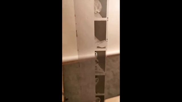 fotografia analogica zenza bronica S2 смотреть онлайн