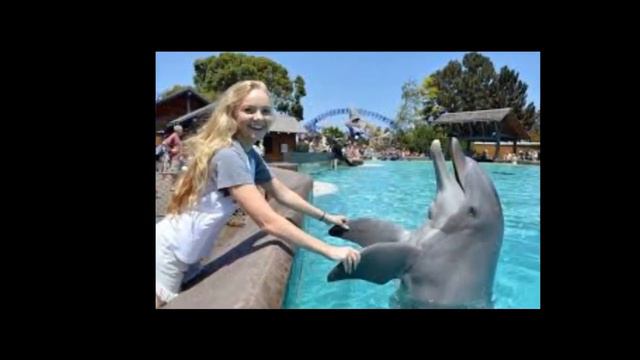 Дельфины. МСЦ ЕХБ. Читает Валерия Шикина. смотреть онлайн