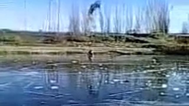 Провалился под лёд на коньках. смотреть онлайн