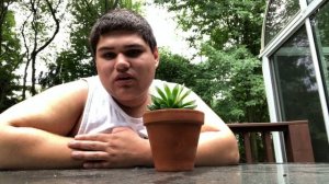 The Plant Prodigy’s Garden Episode 11, Haworthia Cooperi