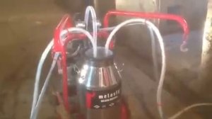 Доильный аппарат