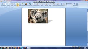 Как работать с помощью программы Microsoft Office Word?